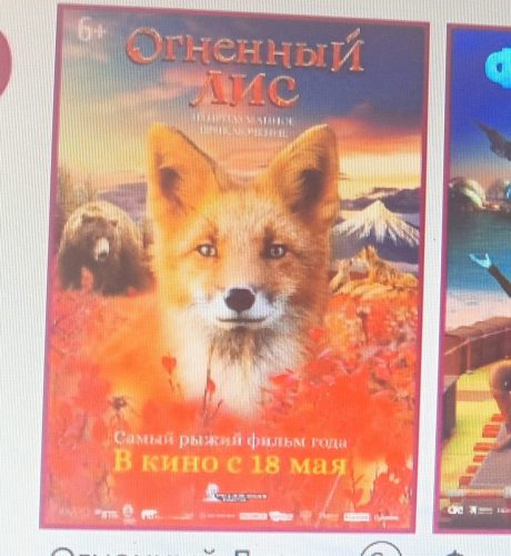 Изображение-WhatsApp-2025-06-23-в-20.56.27 38057149